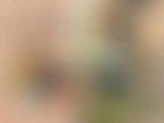 Sweet lady with lots of energy and smarts to match.