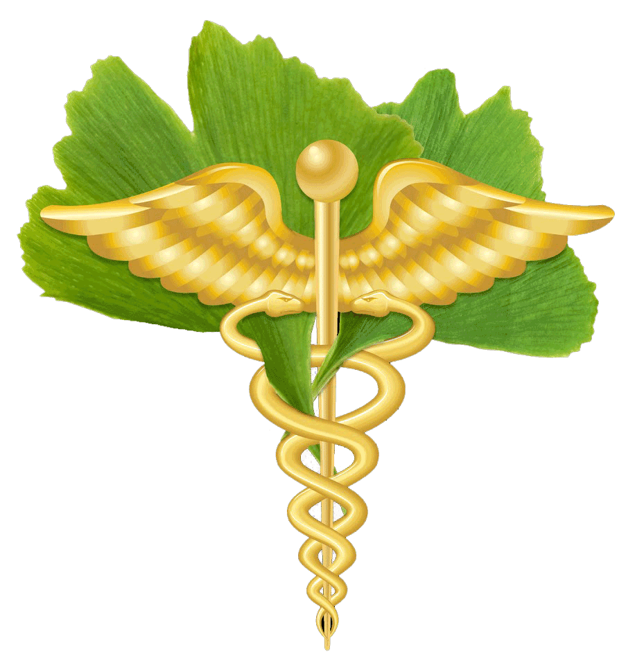 Logo-Wellness-2.gif