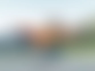 Flexible Expectations