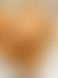 CARROTCAKE PROTEIN BALLS | VEGAN & GLUTENFREE