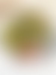 QUICK HIGH PROTEIN VEGGIE PANCAKE (15 min)| VEGA(N) & GLUTENFREE