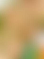 3 INGREDIENT SAVOURY RICECAKES: SPICY-CREAMCHEESE-HAM-SAVOURY-RICECAKE