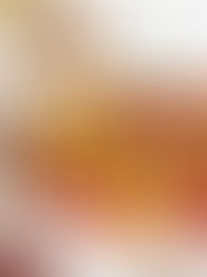 🎃4 INGREDIENT PROTEIN PUMPKIN PANCAKES 🥞 | VG & GF & HP💪🏻