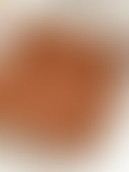 Healthy Vegan Tiramisu | Glutenfree & Refined Sugar free