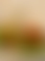 CLOUDY GREEN BEYOND MINCE SMASH BURGER PANCAKES  🥞 | VG & GF & HP