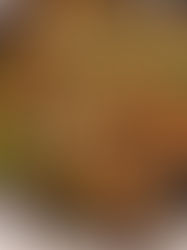 TEMPEH CHESTNUT 🌰 STEW (SO GOOD 😌) VG & HP