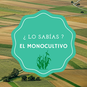 ¿Lo sabías? - El monocultivo