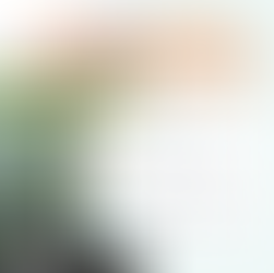 BUSCAMOS VOLUNTARIOS PARA REFORESTAR LOS YUNGAS