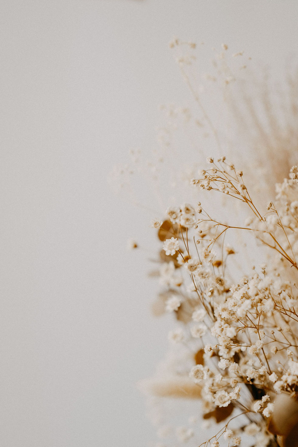 annie-spratt-zo7-ZyvplAI-unsplash_1.jpg