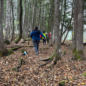 sentiers plein air, yoga plein air, méditation plein-air