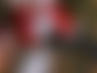 Santa’s Perfect Present