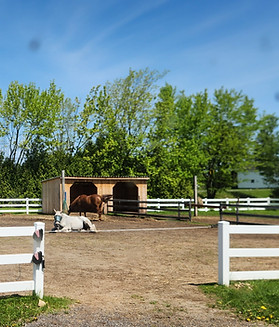 20250603_111756.jpg