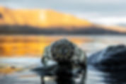 lakes--5.jpg