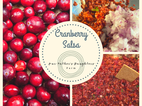 Cranberry Salsa