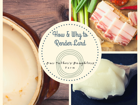 How & Why to Render Lard {Pssst I don’t recommend a slow cooker}