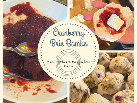 Cranberry Brie Bombs