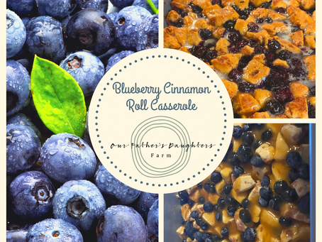 Blueberry Cinnamon Roll Casserole