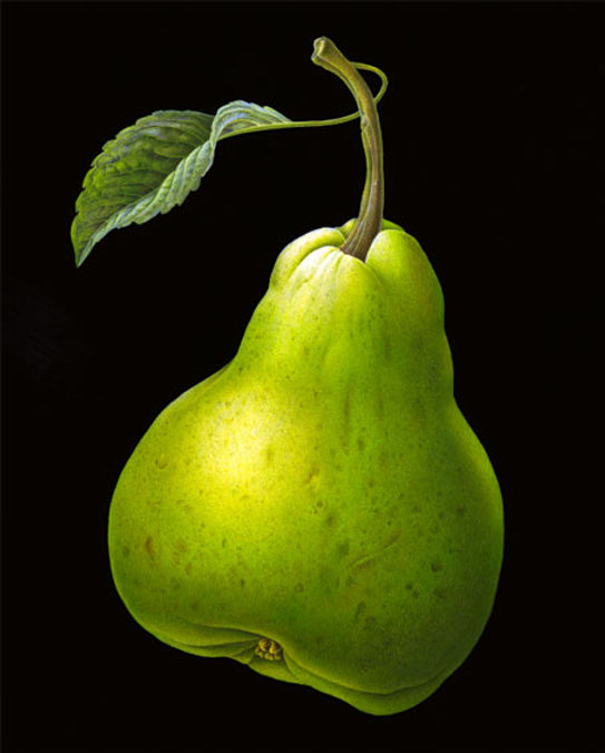 Susannah Blaxill Botanical Artist Pear with Leaf Watercolour
