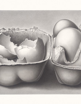 Susannah Blaxill Botanical Artist Eggs in A Box Graphite
