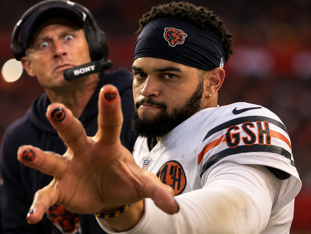 The Bears are Back