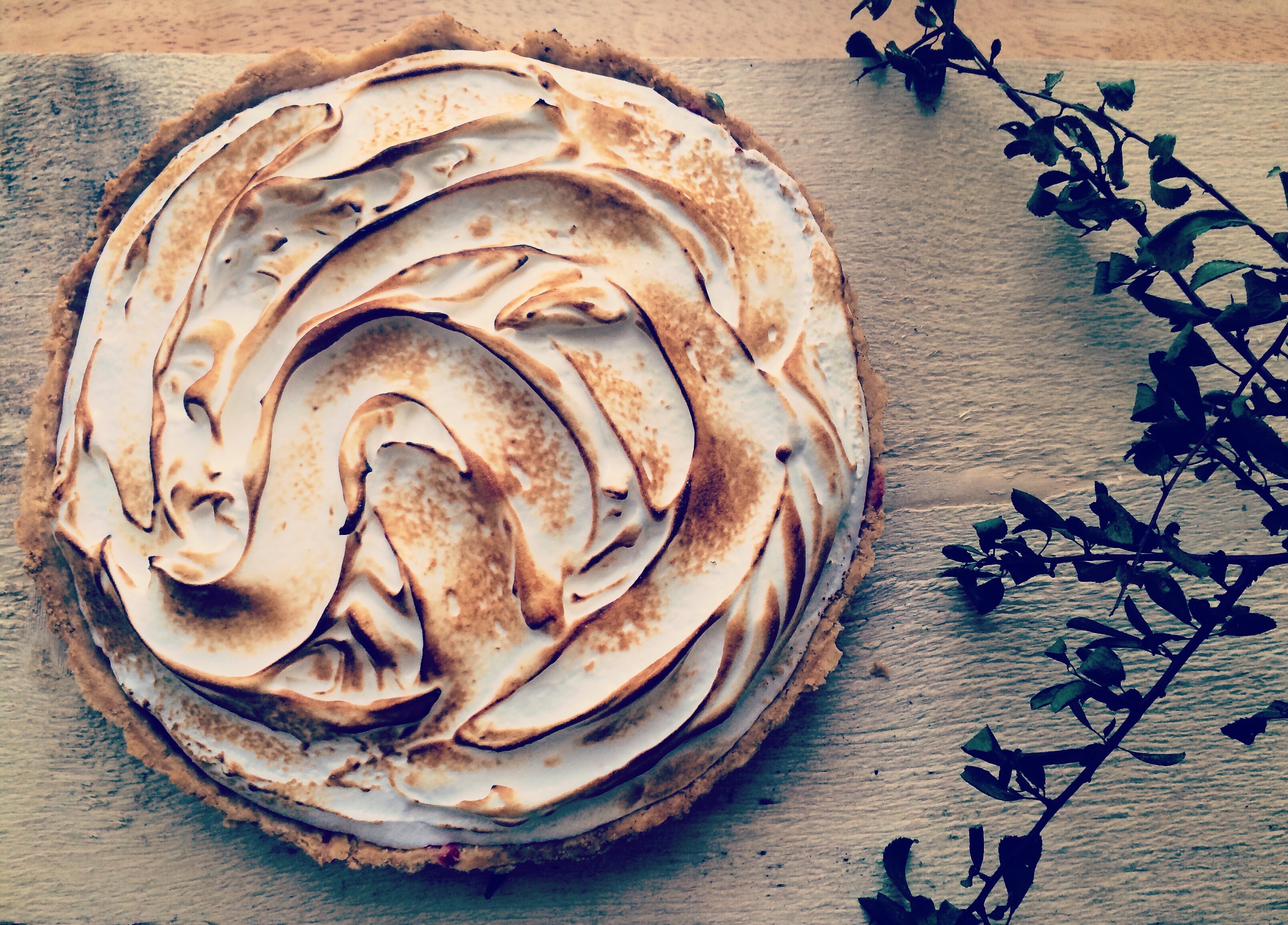 Sloe Berry Meringue Pie Recipe