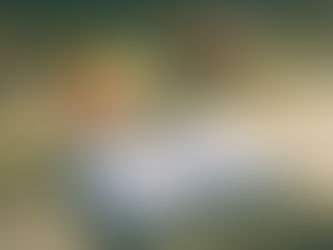 A Palavra que Transforma: A Importância de Meditar nas Escrituras