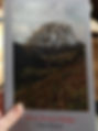 The front cover of From Rowan Ridge by Chris Kinsey, showing a tree on the side of a valley