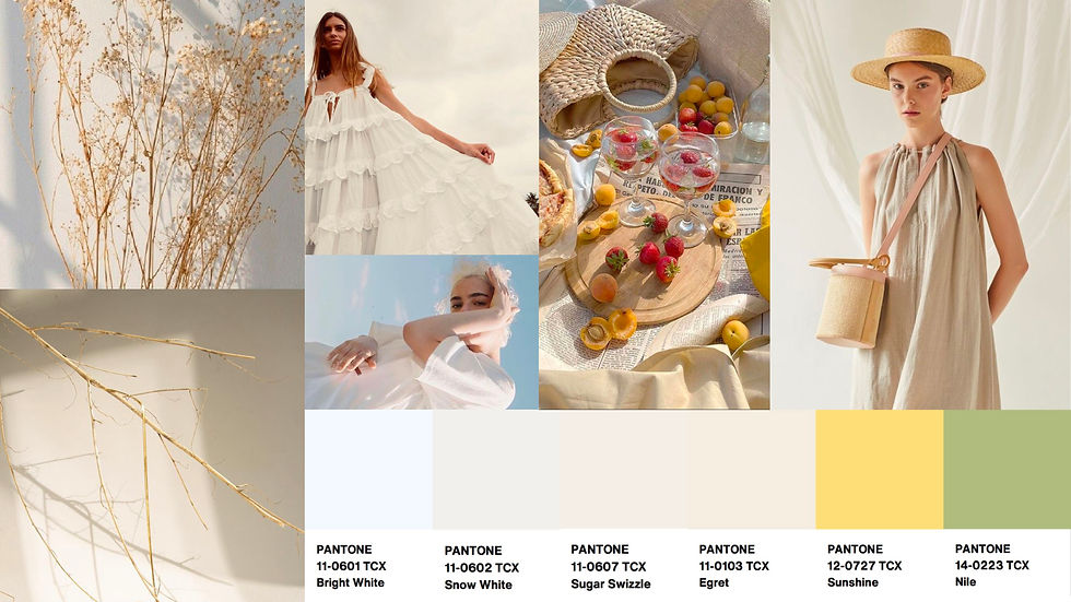 Color Board