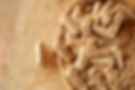 AdobeStock_470206107.jpeg