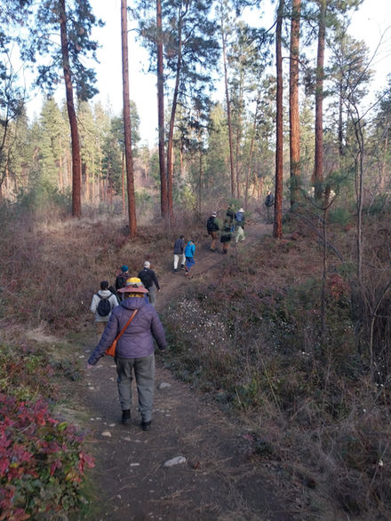 Owl Watching Expedition in the Okanagan Valley