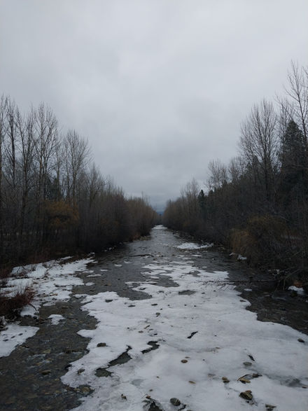 Hiking The Mission Creek Trail