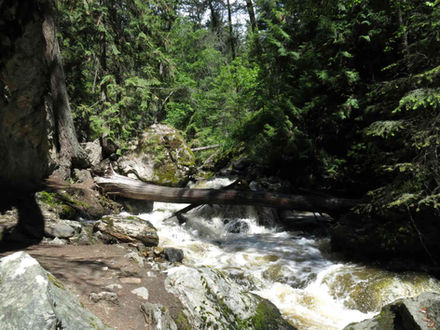 Hiking the Mill Creek Park