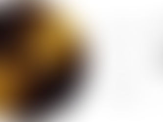 The Golden Record: Humanity’s Message to the Universe