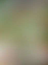 🍅🥦 Sałatka z brokułem, fetą i pomidorami 🥗 pysznie i kolorowo 🥦🍅