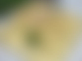 Kluski ziemniaczane z mięsem