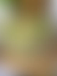 Sałatka makaronowa z kurczakiem i brokułem