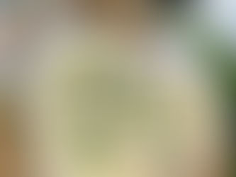 Sałatka jajeczna z szynką i chrzanem