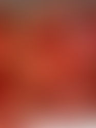 Gołąbki bez zawijania- oszukane gołąbki