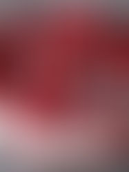 Najprostszy tort z truskawkami