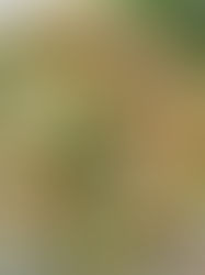 🧄🥦 Pyszna sałatka z brokułem, jajkiem i kukurydzą 🥦🧄