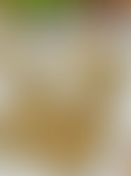 Ziemniaki hasselback z dodatkiem szynki i parmezanu