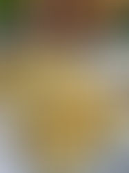 Paszteciki krucho-drożdżowe z kapustą i grzybami