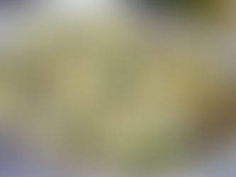 Błyskawiczna sałatka z tortellini z rzodkiewką i ogórkiem