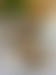 Pyszne ciasto Michałek