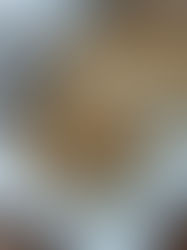 Błyskawiczny orzechowiec bez pieczenia 