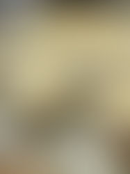 🥜 Orzechowa krówka - Pyszne ciasto bez pieczenia 🐄