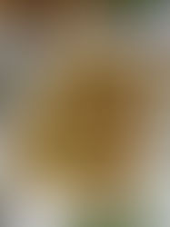 Zapiekanka ziemniaczana z boczkiem i kiełbasą - prosta i smaczna 