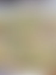 Pyszna i prosta sałatka z gotowanym mięsem z rosołu