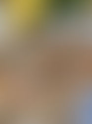 Drożdżowe racuchy z borówkami