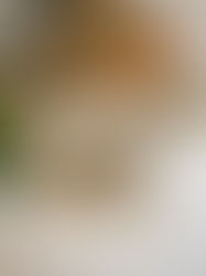 Tortilla grillowana z kurczakiem i warzywami